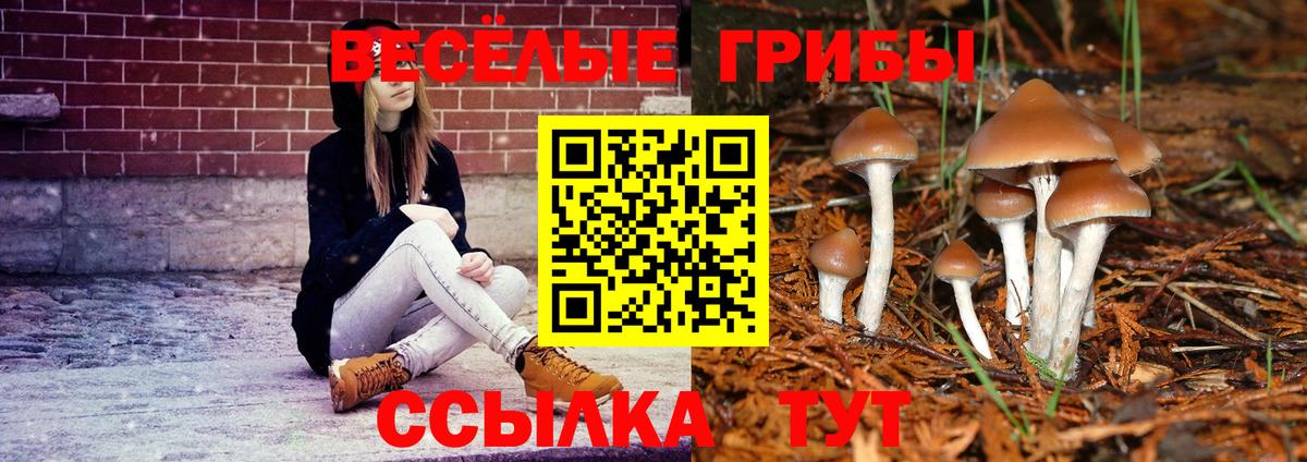 Галлюциногенные грибы ЛСД  Вход с VPN  Ангарск 
