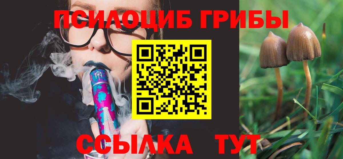 Галлюциногенные грибы GOLDEN TEACHER Ангарск
